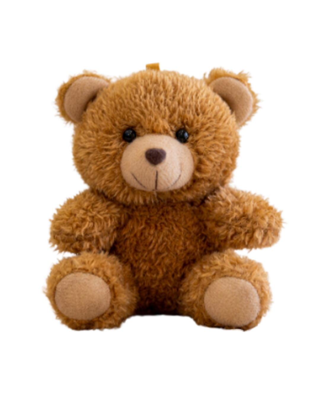 Osito de Peluche