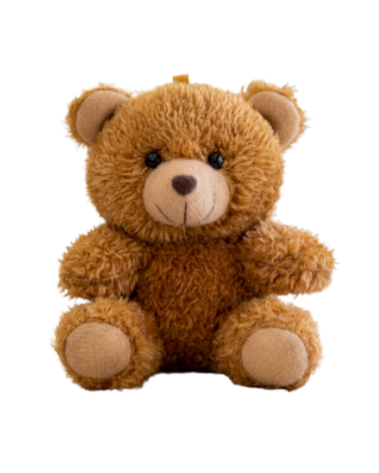 Osito de Peluche